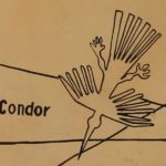 Nasca lijn - condor