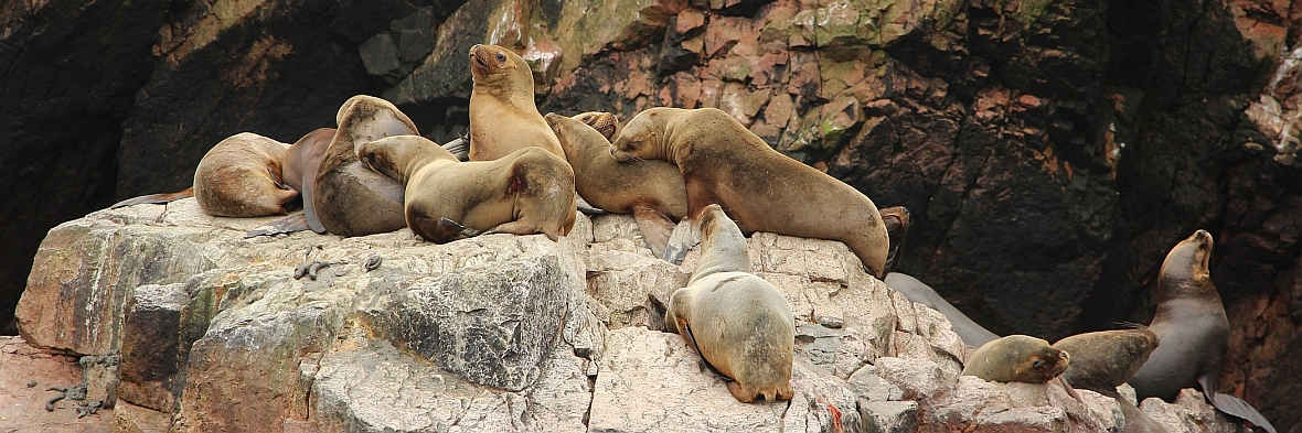 Las Islas Ballestas